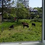 Lägenhet Dreesen